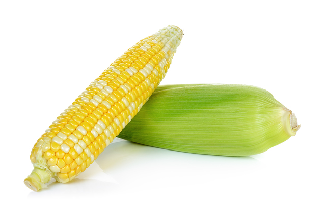 Raw corn isolated on the white background.