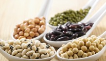variety of beans group
