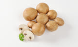 Group of Roman brown mushrooms