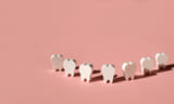 Teeth models standing in a row making a smile on a pink background.