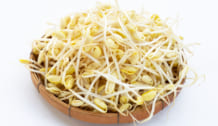 Fresh soybean sprouts for cooking.